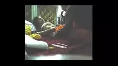 Play University pair porn home-brewed in calcutta