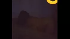 Oynat 4 büyük göt gizli televizyon kamerası