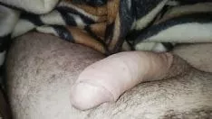 Redare Sashay mare