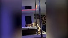 播放 来自 cavilool 应用程序第 1 天的金发女郎-站干运行他妈的