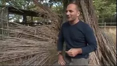 Odtwórz bspoile liczb rzeczywistych nie mogą być wystarczające # 4