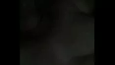 Riproduci Gunel pecca