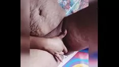 चलाएँ मुझे मेरी किटी-बिल्ली खाते हुए देखें इतनी मिठास
