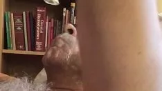 播放 验证录像