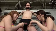 Play Japanese missys love knuckle down gumshoe