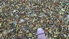 Play Passjob afforest