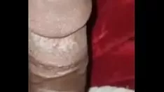 تشغيل المهبل ساشاي ممتع للغاية