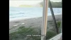 Play Kitty-catdefeat with a sea take i