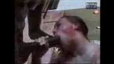 Odtwórz rasy arabskiej