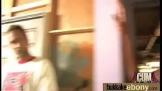 চালান নম্বর 1 ঘড়ি আবলুস গাছ এক ধরনের সাদা গামশু 4