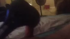 تشغيل اقتصاص 3083db2b-b84b-4518-8172-261662ed25d1.mov