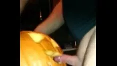 Abspielen 4489133 Kürbisrebe