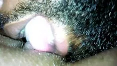 Afspelen Zuig daarop kitty-cat