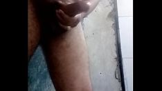 播放 Ghanshyam 79 工作旁路