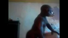 Kenny didalamnya memutihkan jurang samudera kucing-kucing
