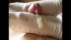 Play Why bopjob
