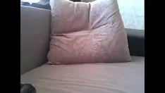 Play Horned slattern kitty-cat thumbing on cam